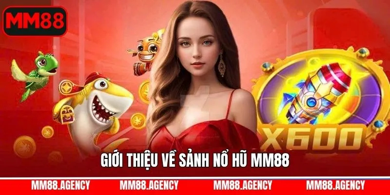 Tổng quan chung về danh mục hot tại nhà cái Tổng quan chung về danh mục hot tại nhà cái